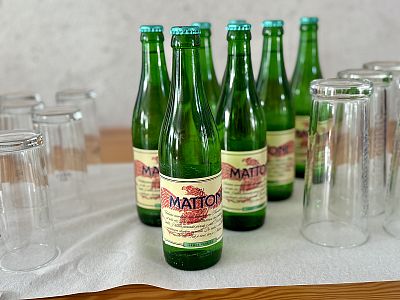 Svatba v zahradě penzionu pod širým nebem