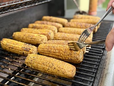 Svatba v zahradě penzionu pod širým nebem